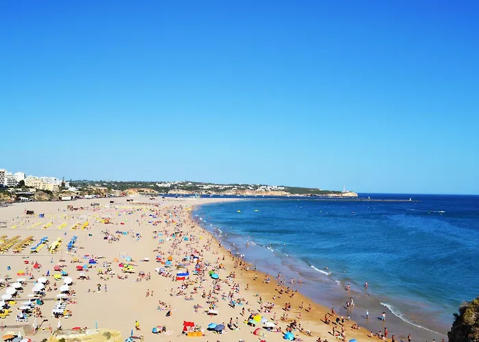 Rocha Sun By Algest *