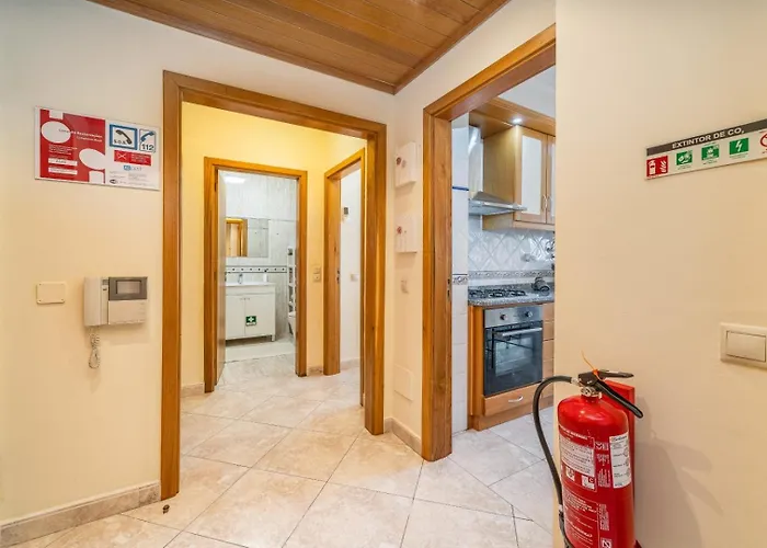 Rocha Sun By Algest *