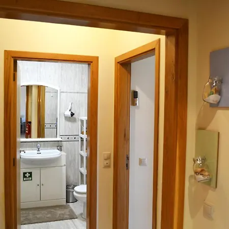 Rocha Sun By Algest *